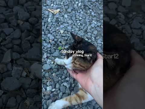 Sunday vlog#vlog#aesthetic#fypシ゚#trend