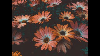 Bu Gece Yari Gördüm Şükür Elhamdülillah Resimi