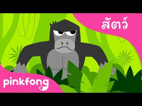 บูกีพงไพร | เพลงสัตว์ | พิ้งฟอง(Pinkfong) เพลงและนิทาน