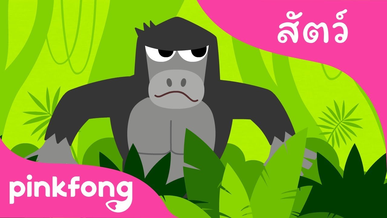 บูกีพงไพร | เพลงสัตว์ | พิ้งฟอง(Pinkfong) เพลงและนิทาน