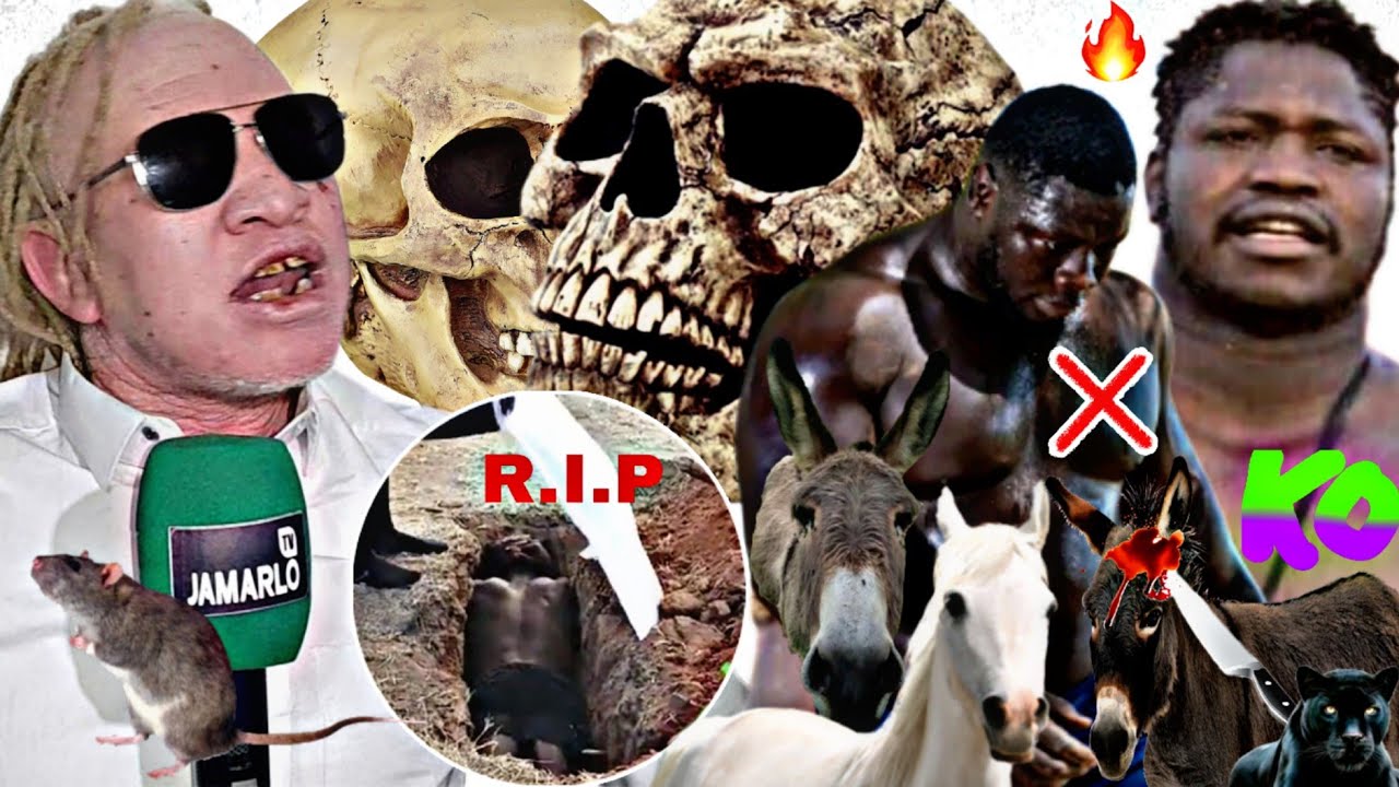 ‼️I Tapha Tine Dane Fran Mystique Bou Béss Tak Serigne Khadim Wah na ni...