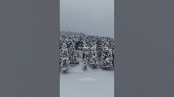 أ ل م ت ر و ا ك ي ف خ ل ق الل ه س ب ع س م او ات ط ب اق ا تلاوة قرانية بصوت جميل 