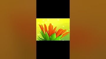 (Reconstructed + RARE) Samsung SGH-E600 - Startup and Shutdown (External Display, 2 Variants)