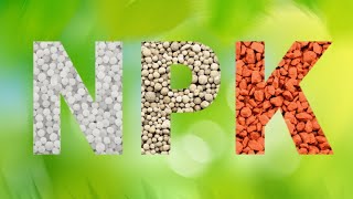 NPK Fertilizer Explained - Simple Piratical Guide