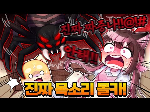 갑툭튀 몰래카메라 해서 멤버들 찐목소리 나오게 하기ㅋㅋㅋㅋ