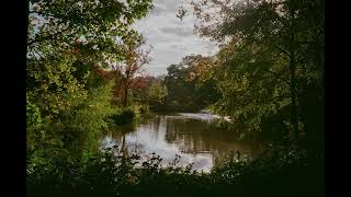 Bonobo Mix (fan made mix) | Bonobo Discography | Best of Bonobo | Bonobo Playlist | Bonobo best song
