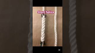 How to tie a short splice 3-stand rope #how #shorts #knot #tutorial #diy