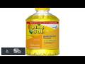 CloroxPro Pine Sol Multi Surface Cleaner All Purpose Cleaner Lemon Fresh 40 Fluid Ounces