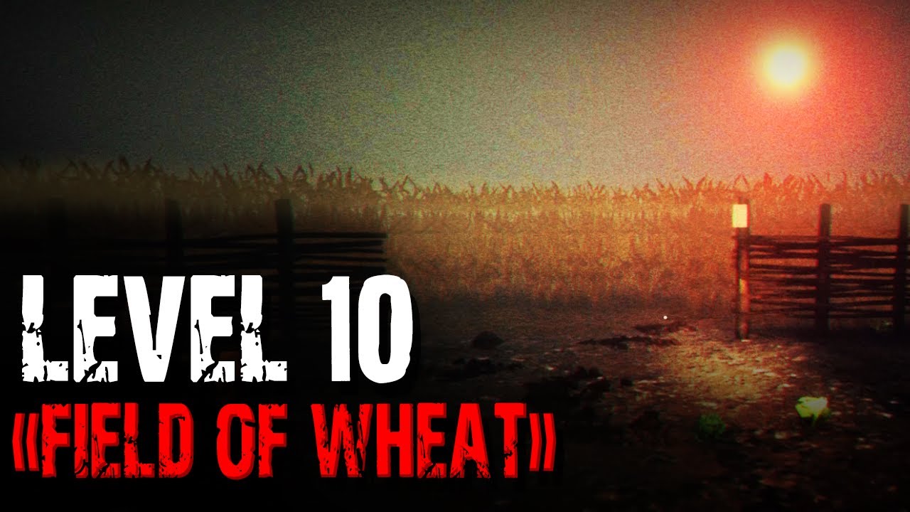 The Backrooms Decrypted: The Field of Wheat (Level 10)