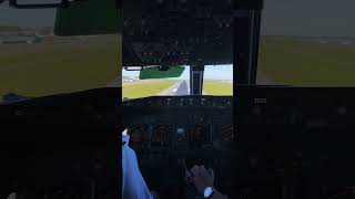Manual 737 landing from the flight deck