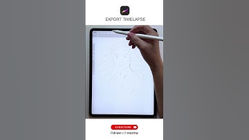 How to Export a Timelapse in Procreate