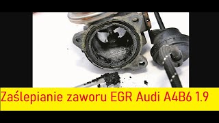 Zaślepianie EGR w Audi A4 B6 1.9 TDI AWX