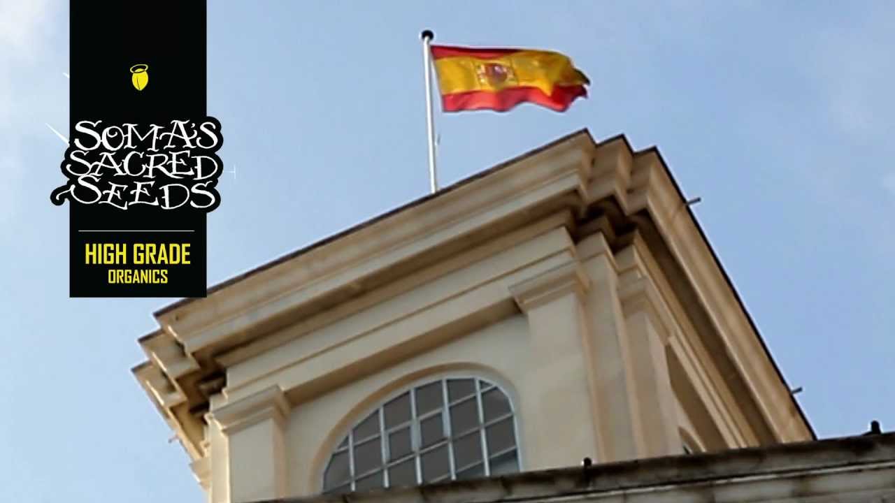 Introduction to Spannabis 2013 | Soma Sacred Seeds & Ziggi Rolling Papers