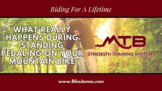 What Really Happens During Standing Pedaling on Your Mountain Bike