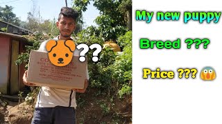 ⁣My new puppy / most popular dog breed in India / pet care Kannada