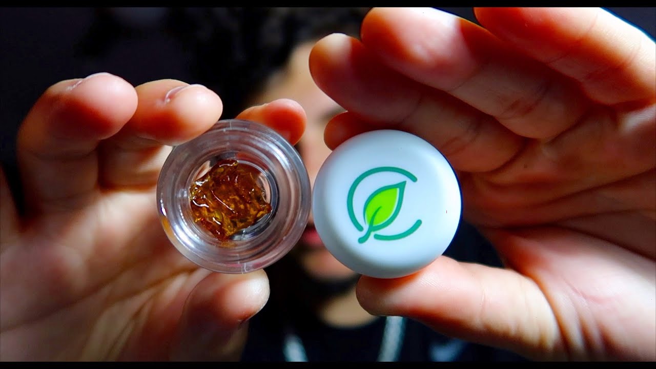 Smoking Curaleaf Shatter | Smoking Legal Florida Weed