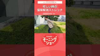 忙しい時の猫背解消ストレッチ 片岡信和【羽鳥慎一モーニングショー】#shorts