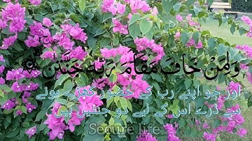 #SuraAl,Rahman#QariAlshekhAbdulelahBinOunAlquranAlkareem# قاري عبدالاله بن عون سوره الرحمن