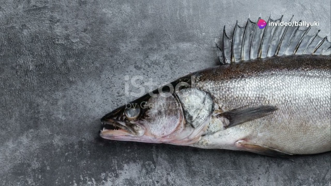 Nepal's Aquatic Orchids: Fish of the Himalayan Rivers 