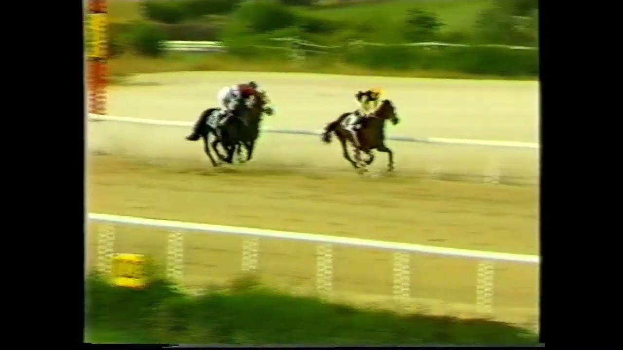 1988 (24 V) Premio ARISTÓTELES (SPA) (1973) (Va.) GALIGNANI (FR) (1981) cuadra José Antonio Sagardoy