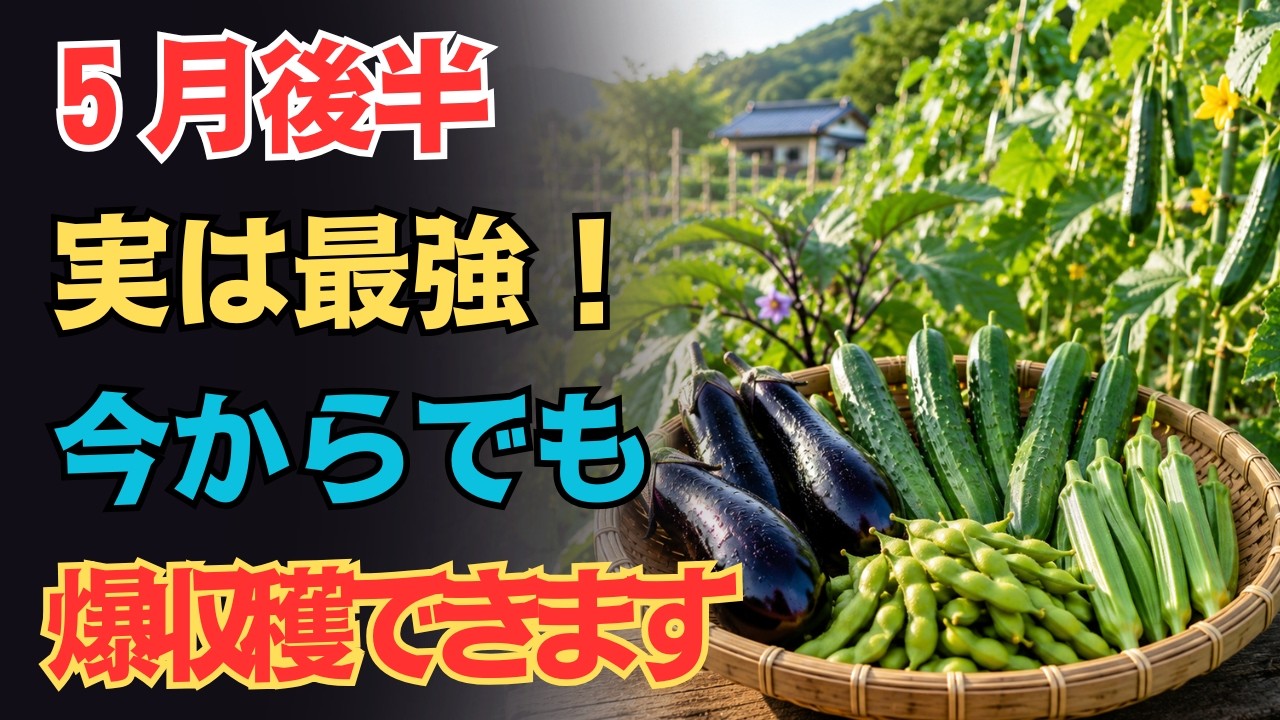 5月後半こそ大本命!夏野菜を遅く植えて大成功する方法!