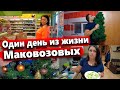 ВЛОГ -  ГОТОВИМСЯ К НОВОМУ ГОДУ! КАК ПРИГОТОВИТЬ САЛАТ ИЗ НИЧЕГО?