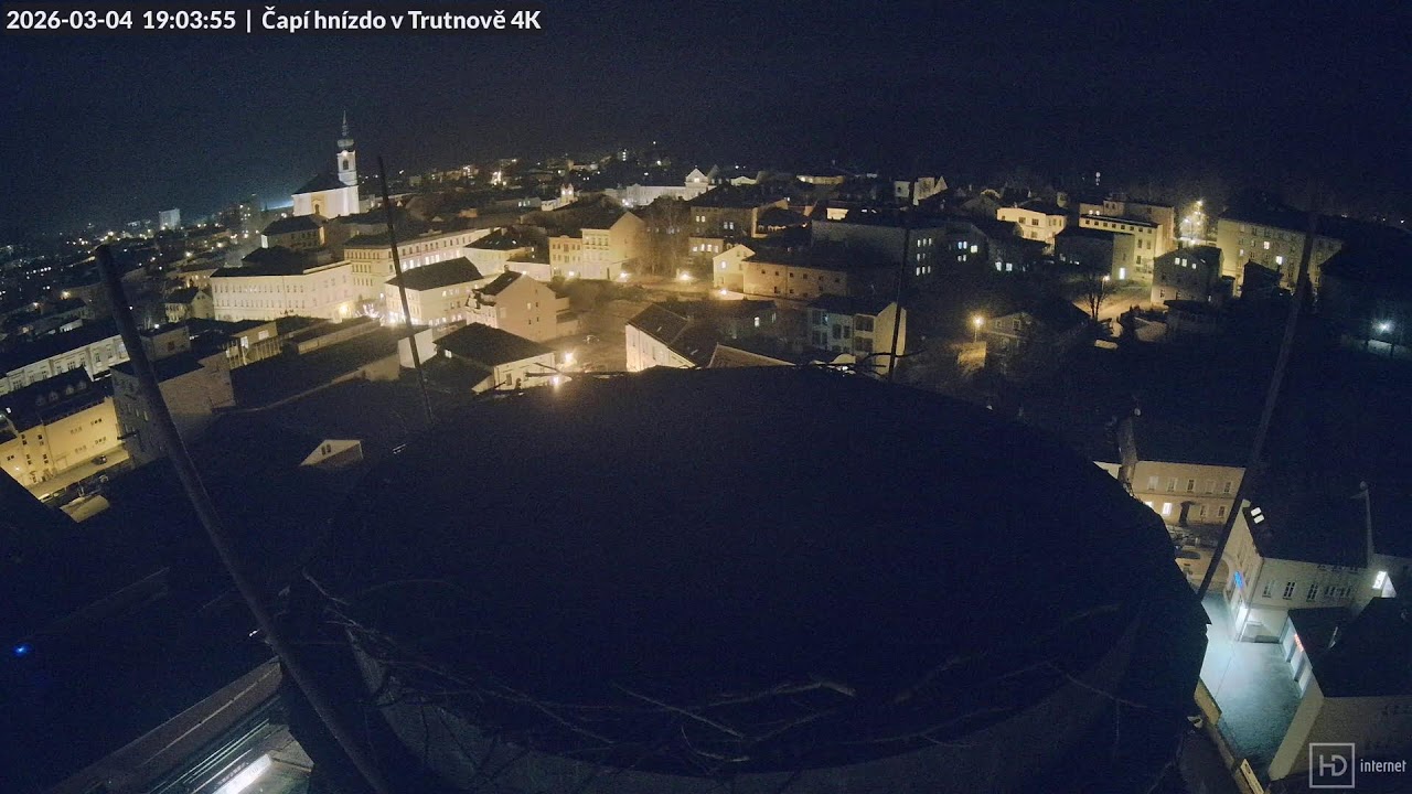 Živě z čapího hnízda na pivovarském komíně v Trutnově