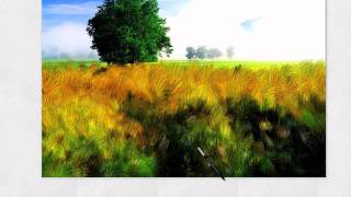 Van Gogh in 5 minutes