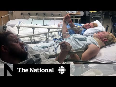 Vidéo: Un Survivant D'un Accident De Bus De Humboldt Broncos Rencontre Son Nouveau Chien D'assistance