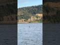 Gorge foiling warmup! #foiling #hoodriver #downwindfoiling #watersports #columbiariver #ronixfoils