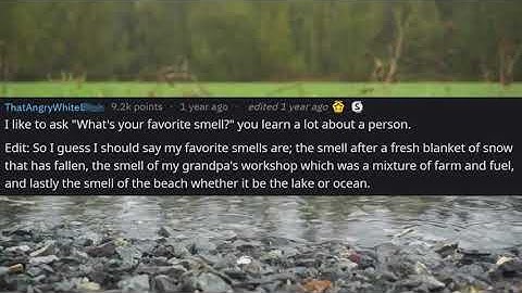 Weird Questions to Ask to Get to Know Someone Better: r/askreddit