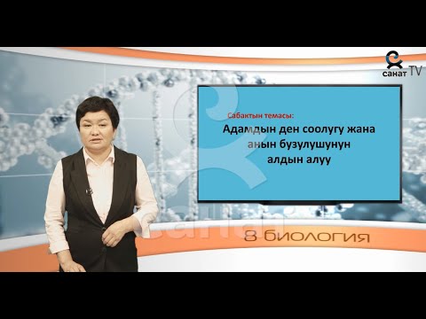 Биология 8 класс 55 сабак