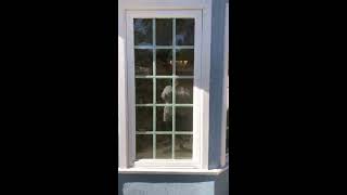 3116 Bostonian Dr.