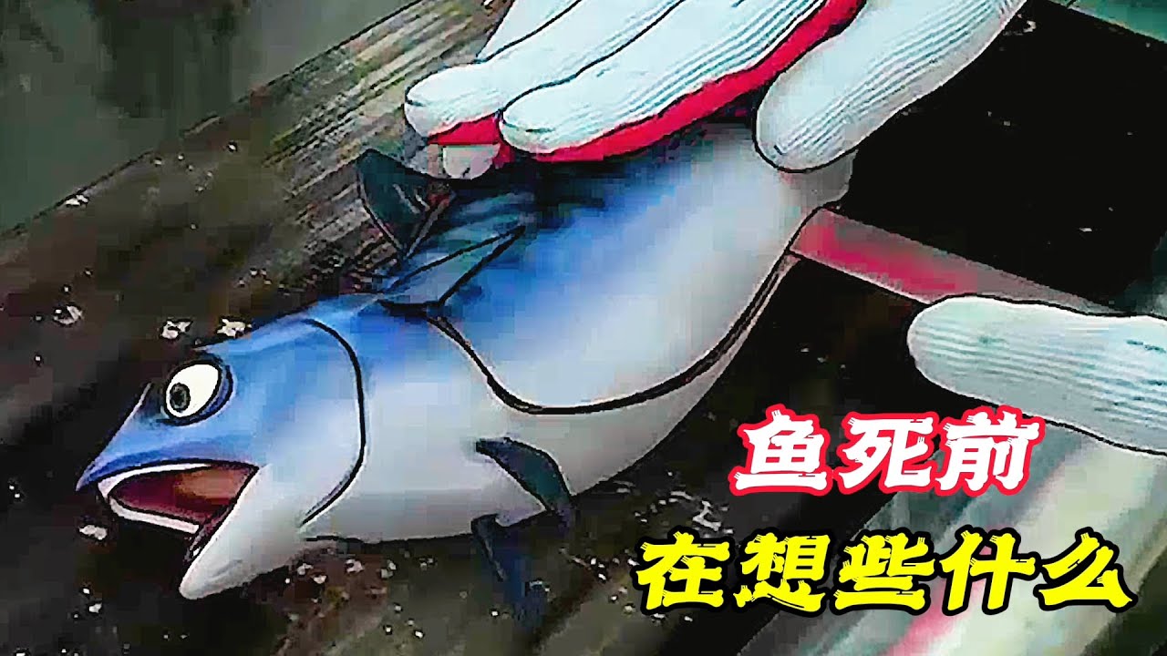 小魚不甘心成為人類的盤中餐，也不想苟且偷生，於是它努力尋找活著的機會！勵志動畫《啪啪啪》。電影，短片，成精，解說，搞笑，動畫，動作，喜劇，獵奇，奇幻，腦洞，科幻，超能力，short film