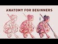 Anatomy tutorial for beginners + pose practice