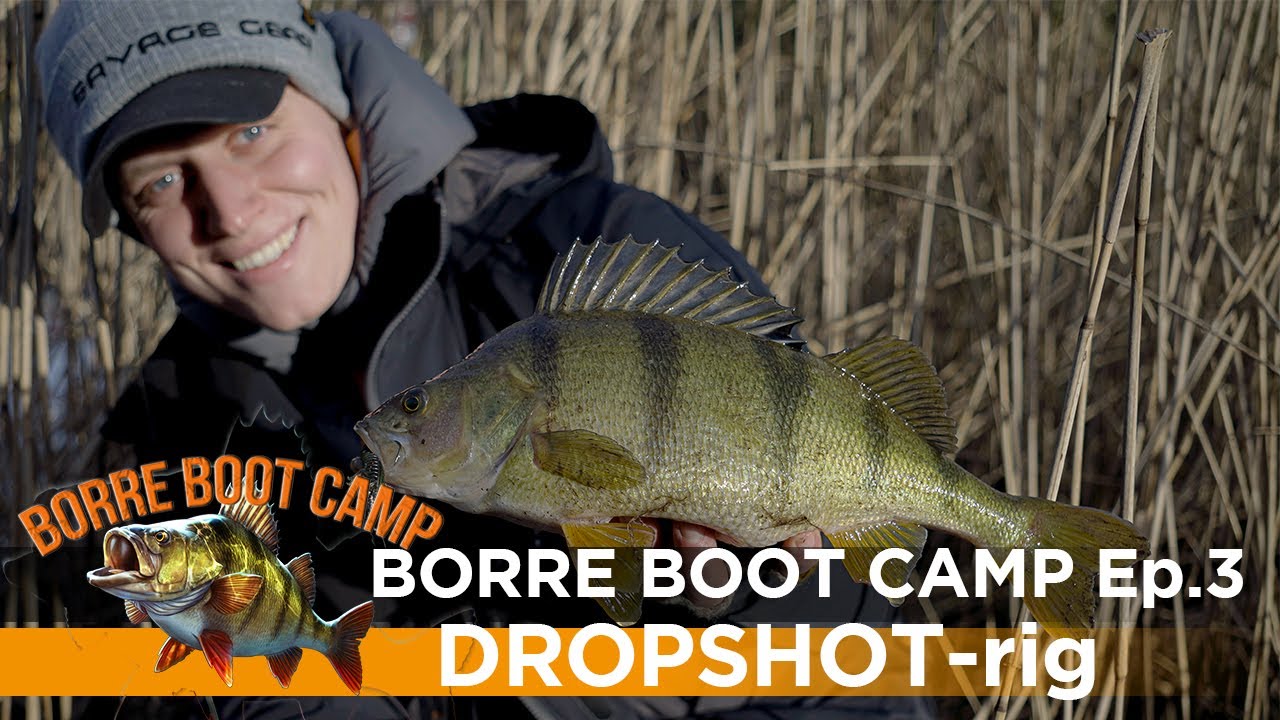 Borre Boot Camp - Ep.3 - Dropshot rig - YouTube