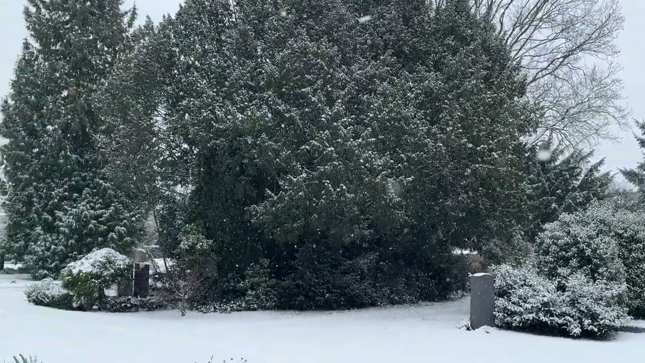 Snow, Germany, Halle Westfalen