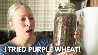 I Tried Purple Wheat for the First Time… Here’s What Happened