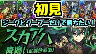 【生放送】新ダンジョン スカアハ降臨をジーククーフーのみ縛りで勝ちたい！【パズドラ】