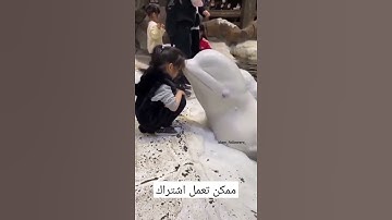 ان رحمت الله قريب تلاوة خاشعة القارئ احمد العجمي