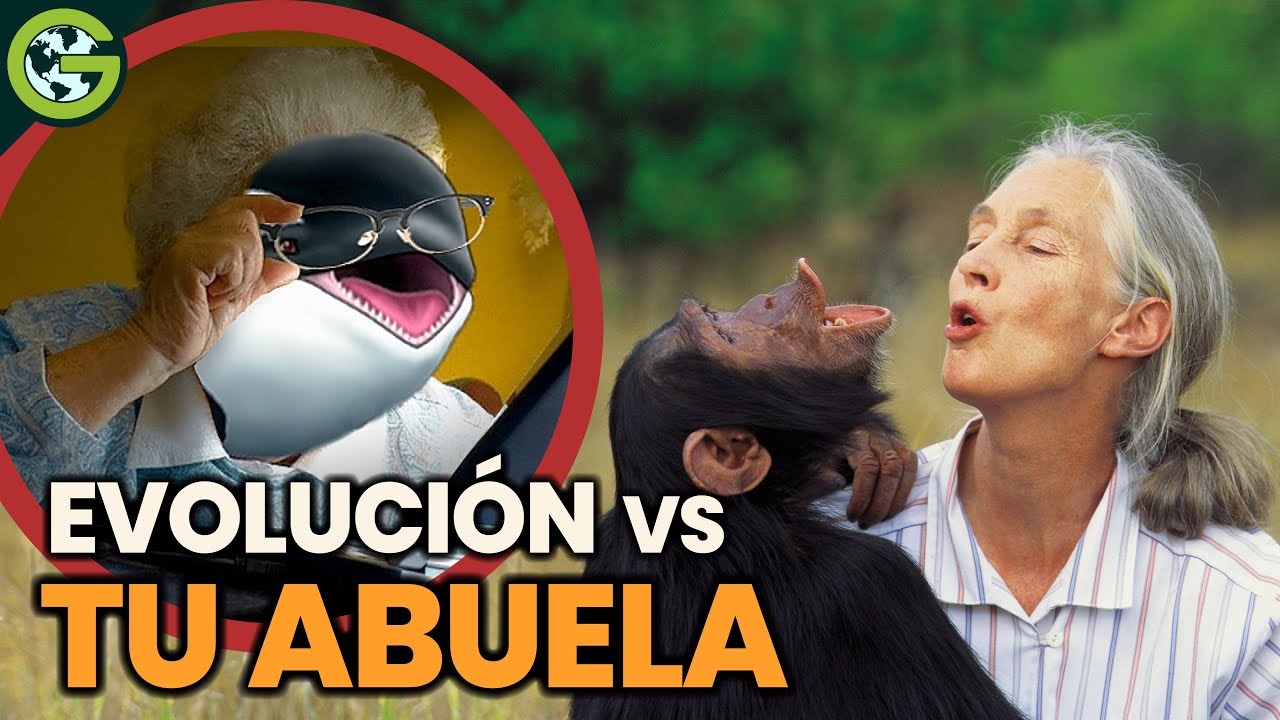 ¿Las ABUELAS NO Deberían EXISTIR? (según la evolución)​ 👵​