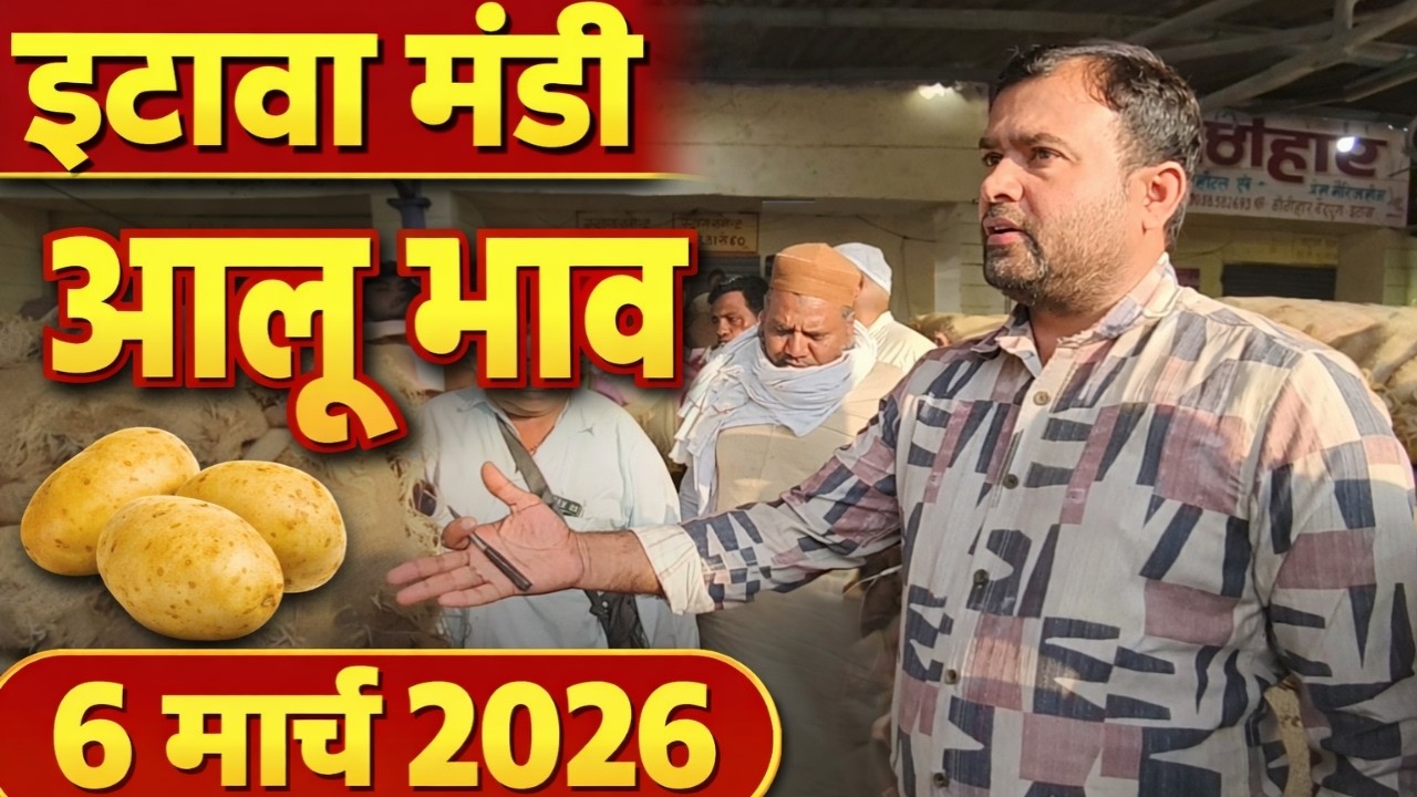 आज इटावा मंडी में आलू का क्या भाव है? | आलू भाव 6 मार्च 2026