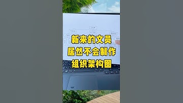制作组织架构图就是这么简单#涨知识 #办公技巧 #职场 #青年创作者成长计划 #每天学习一点点