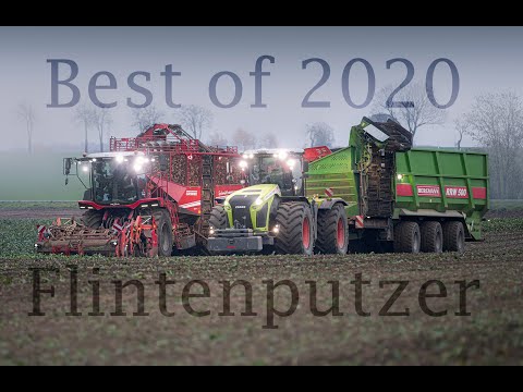 Video: Agrartechnik Und Schnitthortensien
