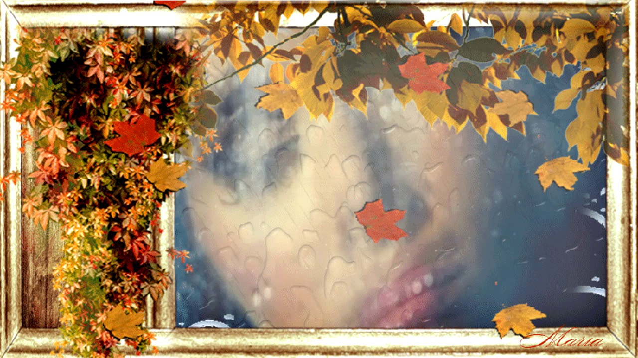 Все тише ветви мне стучат. Осенний листопад. Осенняя грусть. Листопад за окном. Осенний листопад анимация.