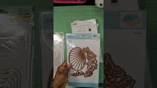 Spellbinders and Live Love Posh Haul