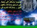 نحنا هلها 