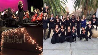 DVHS Orchestra 2015 2016