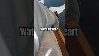 Jennies panic attack…😭