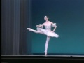 Grand pas classique - Elisabeth Platel, Nicolas Le Riche の動画、YouTube動画。